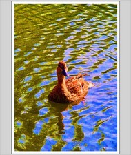 Down By The Riverbank A4 Print