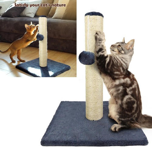 Cat scratching post scratch - cat,