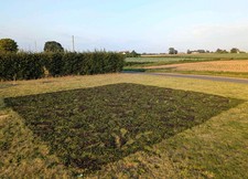 Genuine British Army MK7 Woodland Camo Net Camouflage Netting - Various Sizes