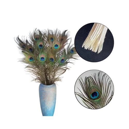 Natural peacock feathers - natural,