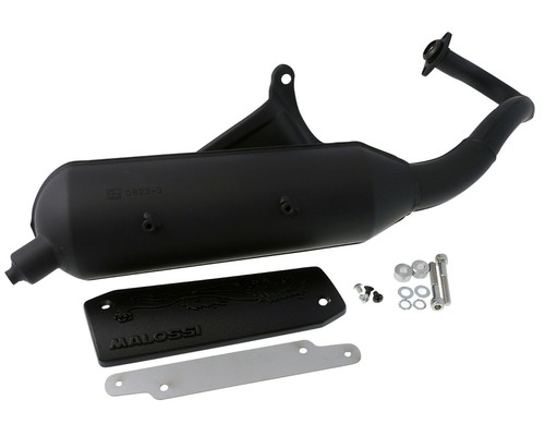 Exhaust malossi wild - wild, lion