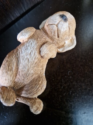 Golden labrador sleeping puppy - labrador,