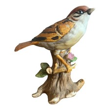 Tree Sparrow Bird Perched on a