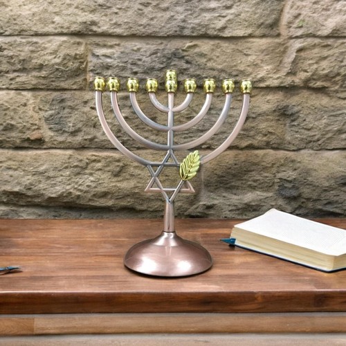 Hanukkah menorah jewish - hanukkah,