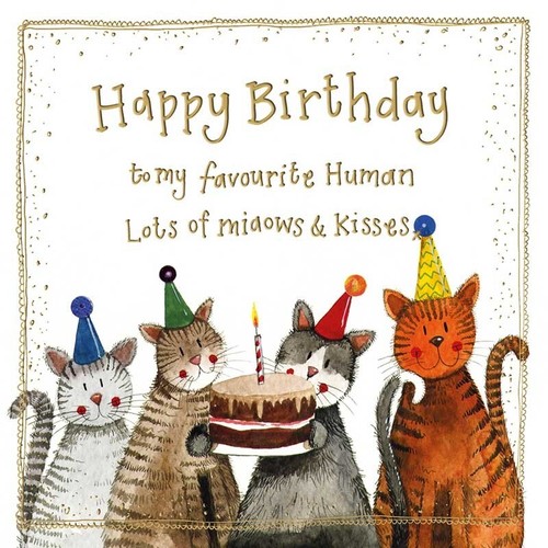 Happy birthday single - 'happy, birthday'