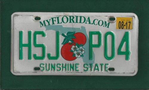 Hsj p04 florida american - florida,