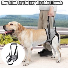 Walking aid dog rear