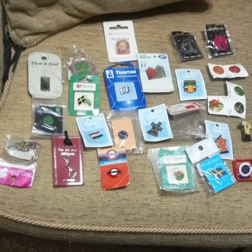 Mixed job lot enamel - mixed, pin