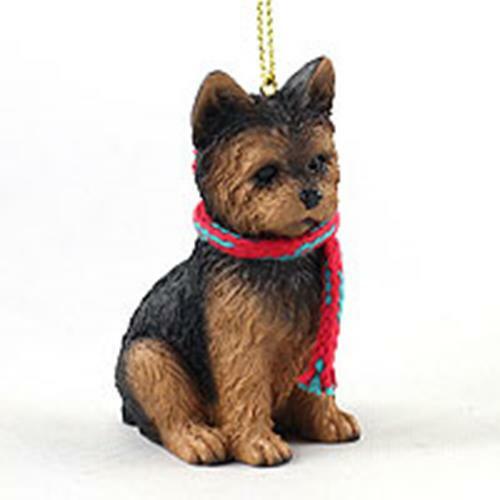 Large yorkshire terrier - yorkshire,