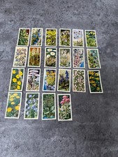 Brooke Bond Tea Picture Cards