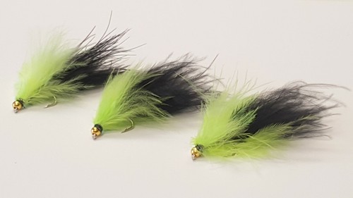 Gold head lime and - x,