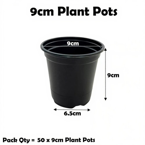 9cm plant pots - plant, black