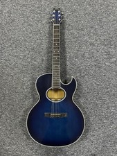 Washburn Woodstock Electro