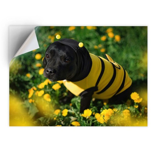 Vinyl sticker bumble - a4,