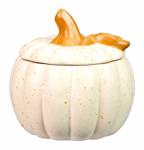 Autumn pumpkin cookie jar - pumpkin,
