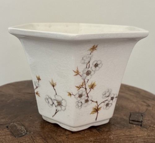 Royal winton pottery vintage - royal,