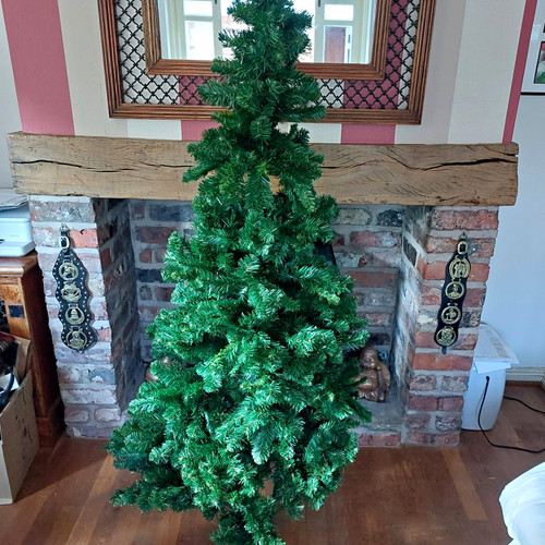 Homebase 6ft 180cm - , green