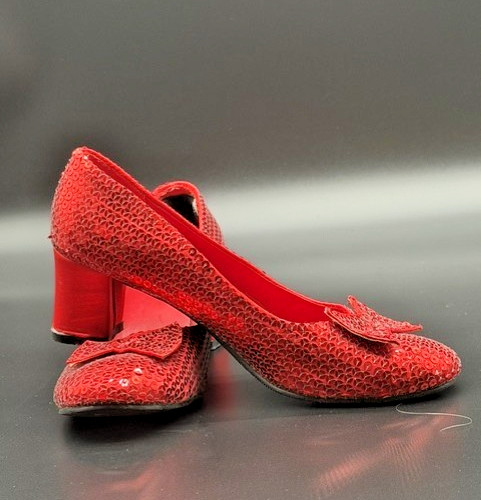 Wizard dorothy s ruby - oz,