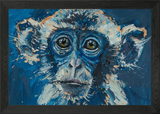 Blue Monkey Portrait Framed