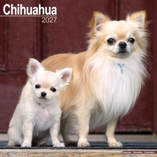Chihuahua 2027 calendar - chihuahua,