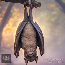 Bat Tree Hanging Garden