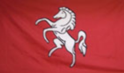 Kent flag 3ft - , 2ft