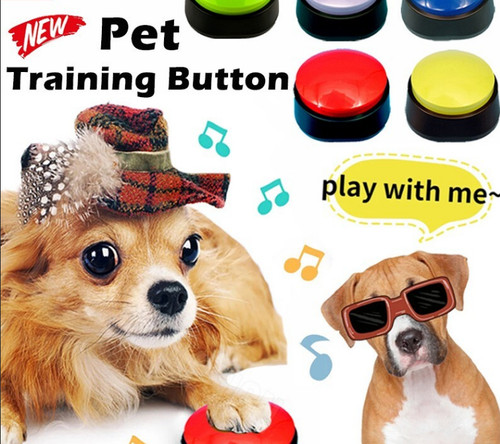 Pet starter recordable talking - starter,