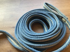 Blue cushion web lunge rein
