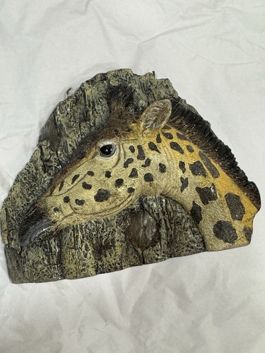 Africa african inch - , 5”