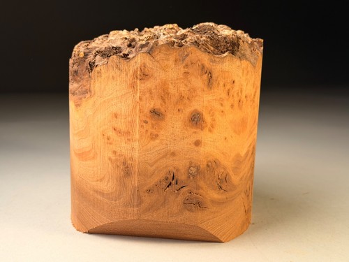 Live edge burr elm - edge, resin