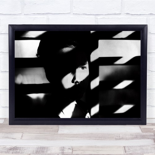 Zebra stripes blinds eye - zebra,