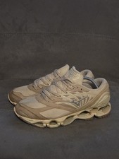 Mizuno wave prophecy desert - prophecy,