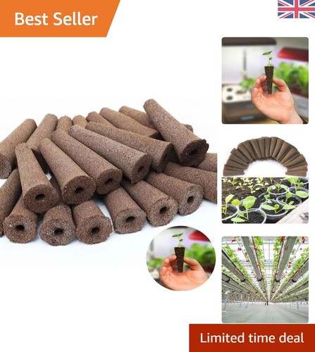 50pcs hydroponic seed starter - 50pcs,