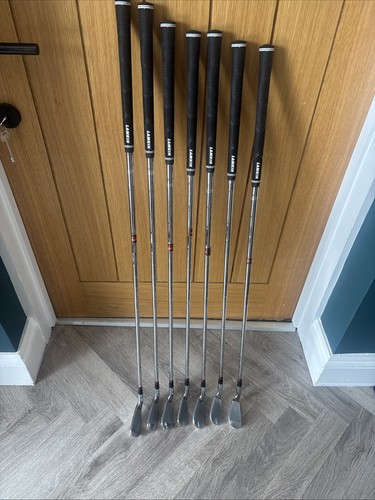 Hogan apex ftx - apex, irons