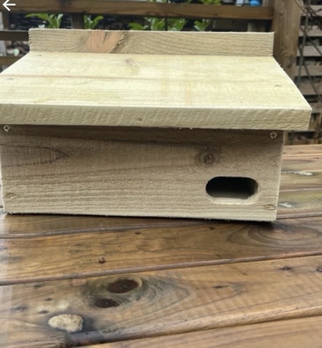 Swift bird nest - ,