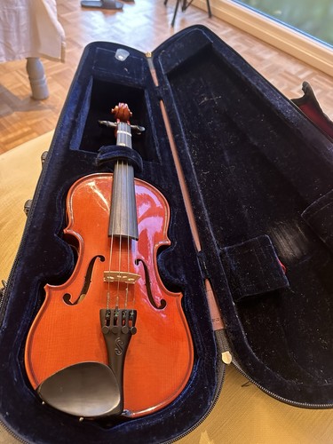 Stenor student 4 violin - ii,