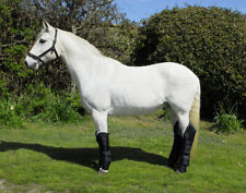 Rhinegold Full Length Horse