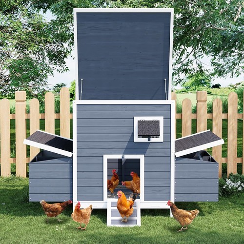 Wooden chicken coop with - chicken, 2