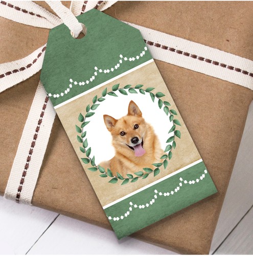 Finnish spitz dog green - finnish,