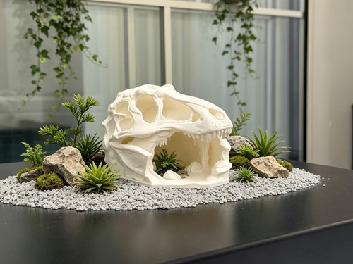 Dinosaur skull terrarium - skull,