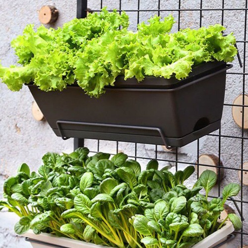 Trough plant pot long - trough,