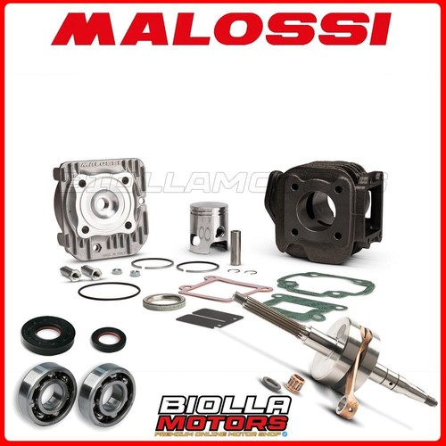 Cylinder kit shaft malossi - cylinder, +
