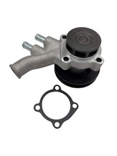 Reliant Robin, Regal, Rialto