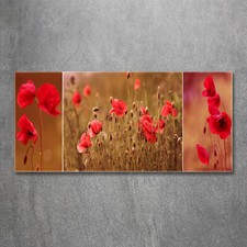 Tulup Acrylic Glass Print Wall