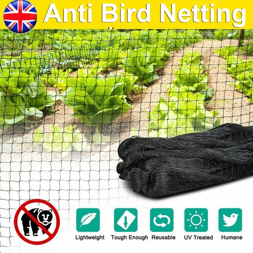 Anti bird garden - anti,