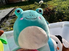 Squishmallows Robert Frog