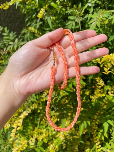 Vintage natural coral branch - vintage,