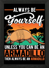 Armadillo Gift Framed Wall Art