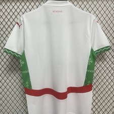 Moroccan Football Team T-Shirt Multiple Colours And Sizes Available