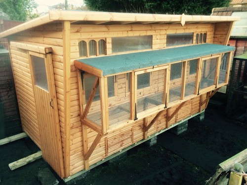 Duty combi aviary pigeon - aviary,